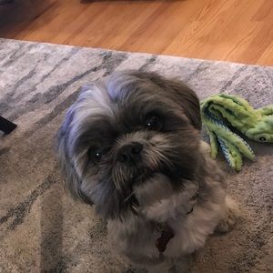 Meet your Posher, Nicholas